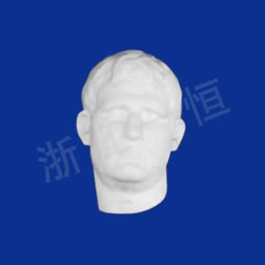 美术教材系列阿格里巴半面