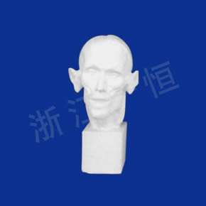 美术教材系列解剖头像