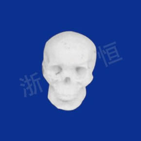 美术教材系列男头骨