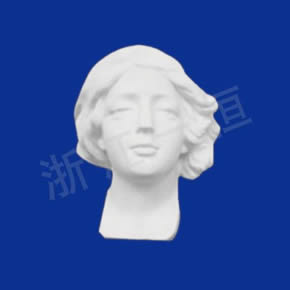 美术教材系列少女半面