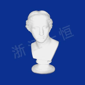 美术教材系列维纳斯人头像