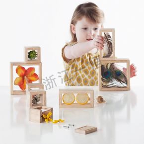 Table area woodTransparent treasure building blocks