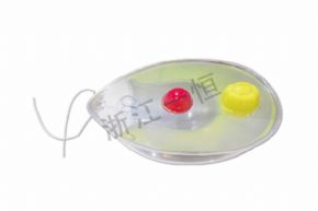 生物及医疗模型3209 衣藻模型