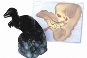 Biological and medical models3217 始祖鸟化石及复原