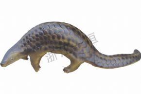 生物及医疗模型3235 仿真穿山甲