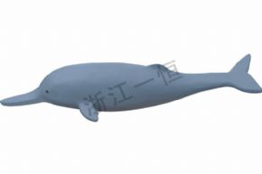 生物及医疗模型3266 仿真白鱀豚